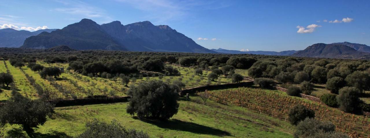 Hostal S'Ulumu Dorgali Exterior foto